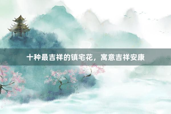 十种最吉祥的镇宅花，寓意吉祥安康